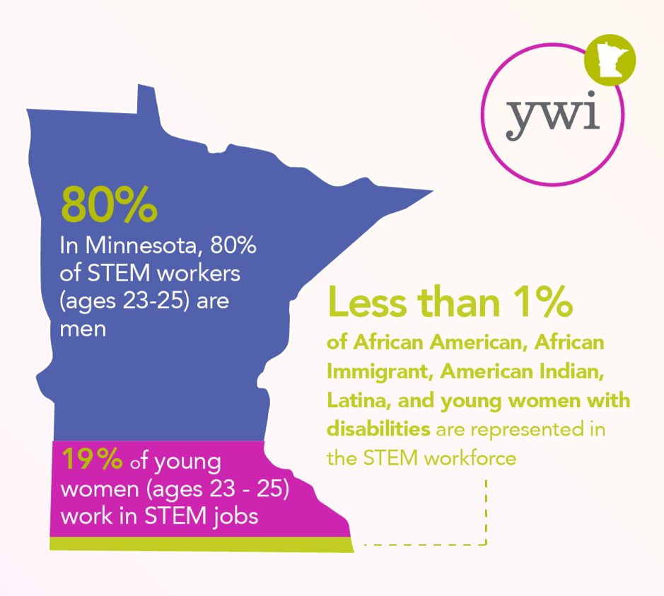 STEM Minnesota Statistic