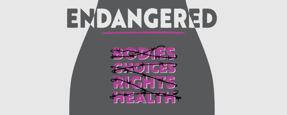 grey silhouette of woman with text "endangered". Barbwire around words "Bodies. Choices. Rights. Health."